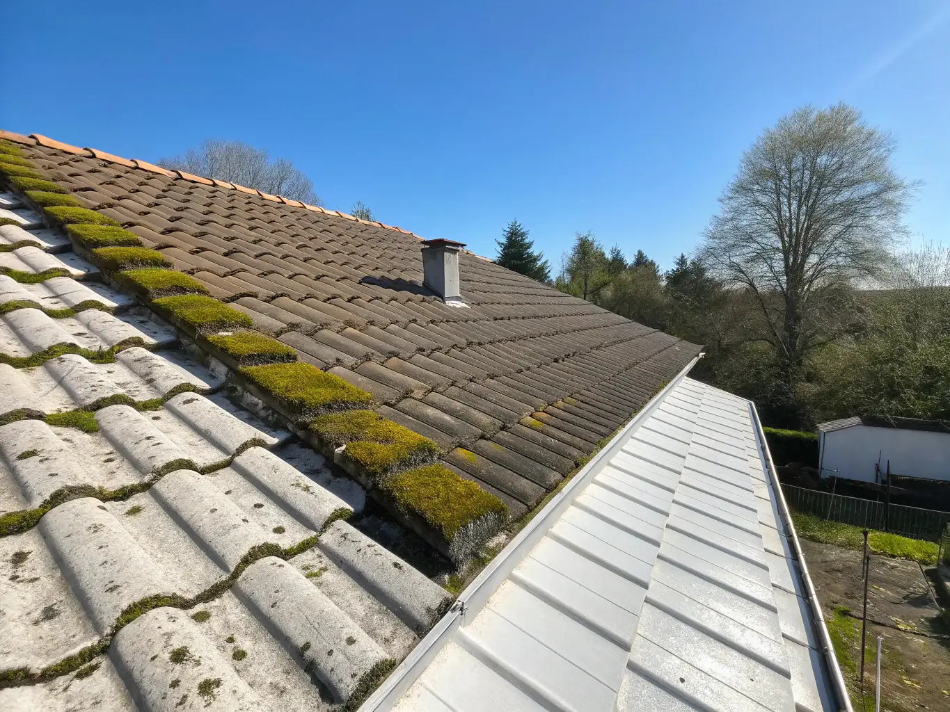 A before-and-after shot of a roof, showing the dramatic difference after a soft washing treatment, with algae and moss completely removed.